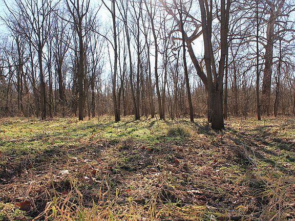 4th image of Lindman Dr #Lot 4