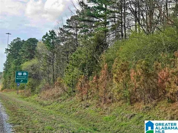 0 State Highway 280, Sylacauga, AL 35150