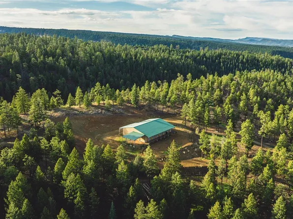 S Black Bear Place, Pagosa Springs, CO 81147