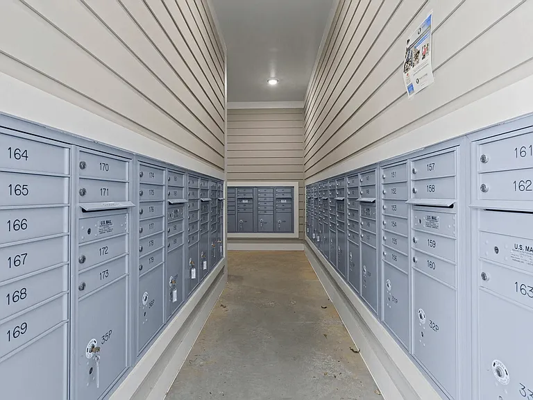 Litchford 315 Apartments — Photo 43