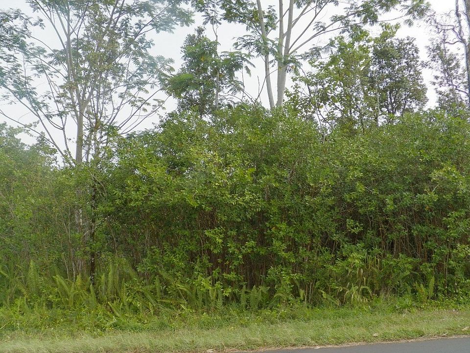 1st image of 22nd Avenue Nanialii Lot 322