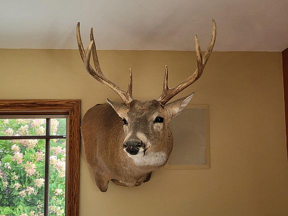 2nd image of 5565 State Hwy B