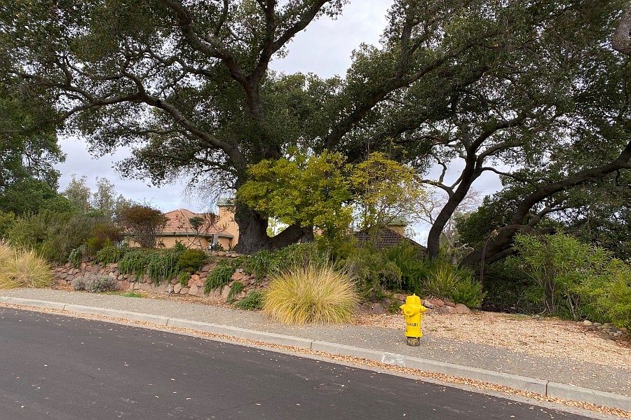 2nd image of 311 Santa Rosa Dr