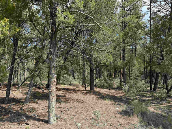 183 Hoover Dr, Timberon, NM 88350