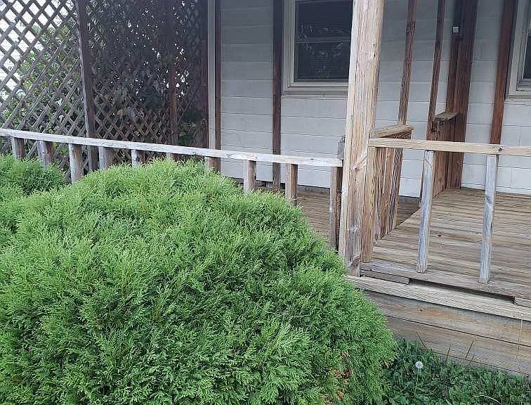 366 Avery Ave — Photo 9