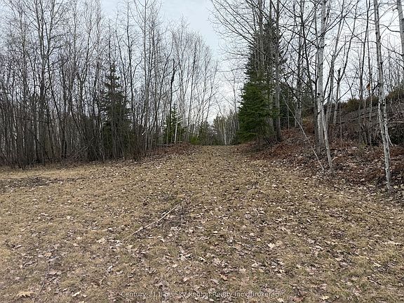 2nd image of 181 Ruston Rd