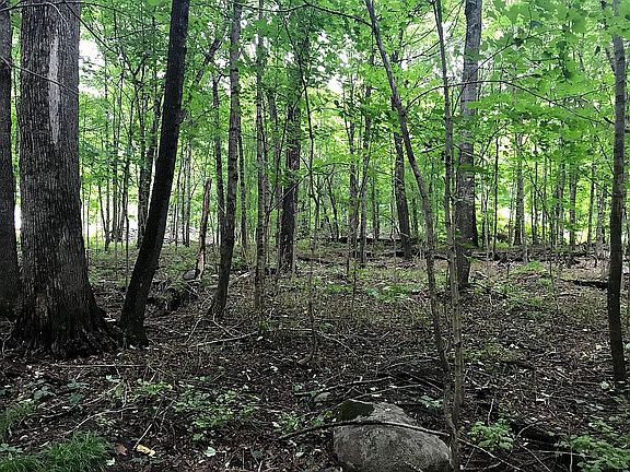 5th image of E Ottertail Rd NW