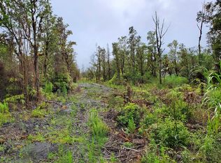 Hibiscus St LOT 7493, Mountain View, HI 96771