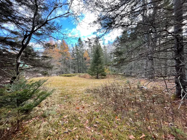 Lot #9-4 Oak Hill Road, Bar Harbor, ME 04609