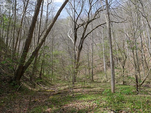 2nd image of Fowlers Branch Rd