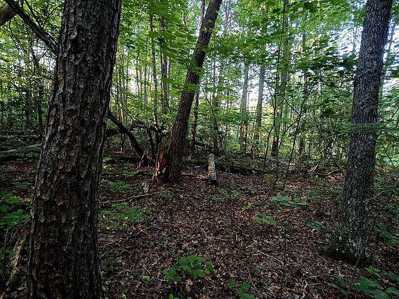 2nd image of 15 Austin Dr