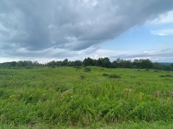 0 Route 29 #5, Middleville, NY 13406