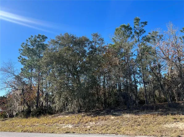 Undetermined Lot 28, Ocala, FL 34473