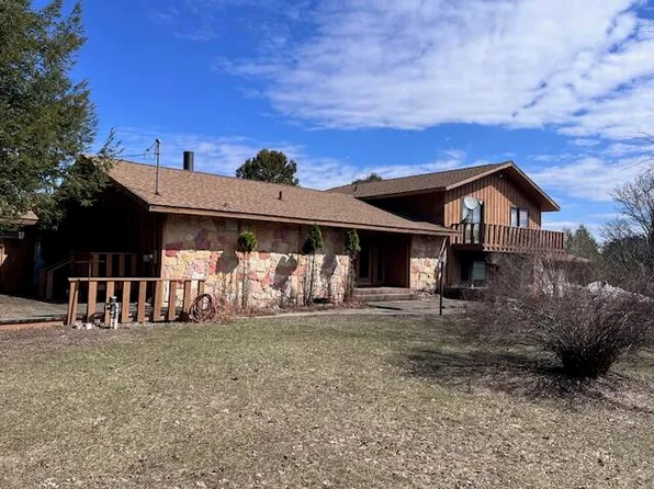 8903 Maidens Rd, Bear Lake, MI 49614