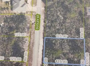 1107 Ramiro St, Lake Placid, FL 33852