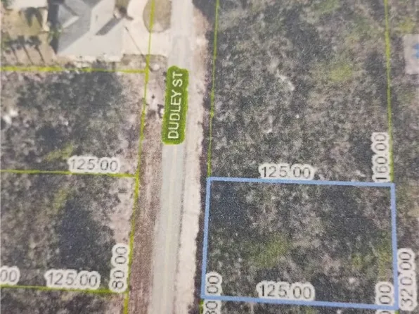 1107 Ramiro St, Lake Placid, FL 33852