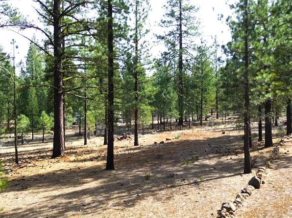 42451 Blue Heron Cir, Old Station, CA 96071