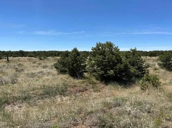 55 Elk Trl, Pie Town, NM 87827
