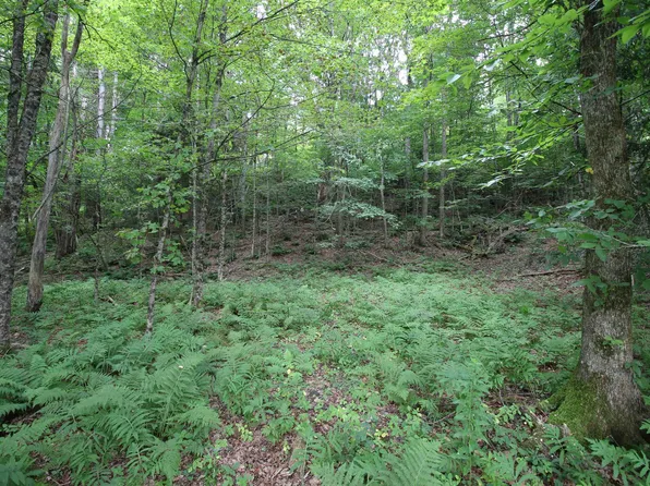 360 Liberty Hill Road, Pittsfield, VT 05762