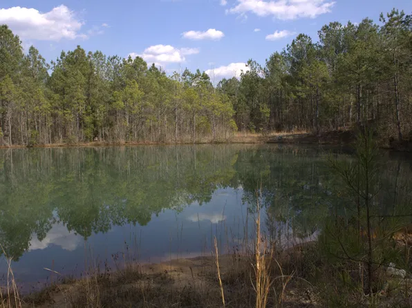 1121 D L Phillips Ln Lot 1, Broadway, NC 27505