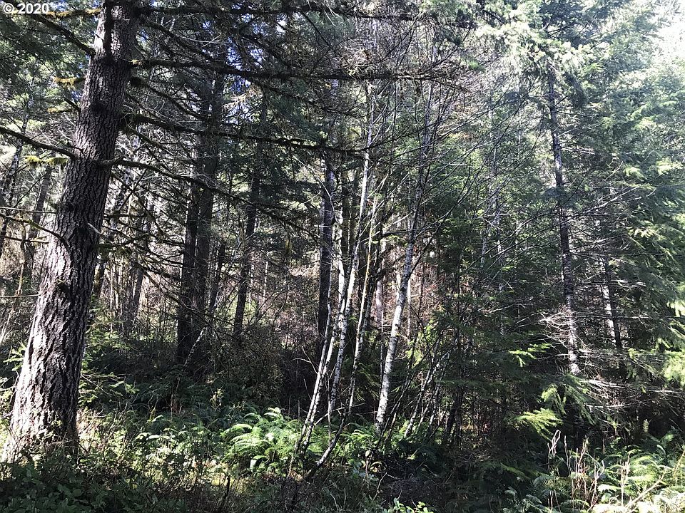 2nd image of 41751 SW Pumpkinseed Rd