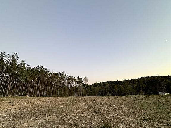 3rd image of 0 Whitson Hollow Rd
