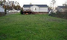 View from end of back yard