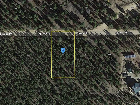 852 Spruce Drive, Twin Lakes, CO 81251