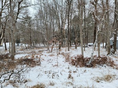 Nosirrah Rd, Albrightsville, PA, 18210