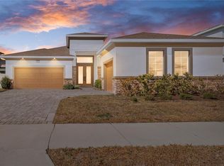 8749 Drummer Plank Dr, Wesley Chapel, FL 33545