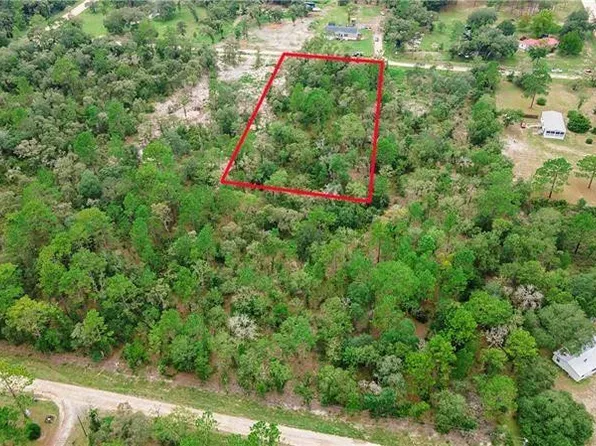 0 SE 132 Court, Morriston, FL 32668