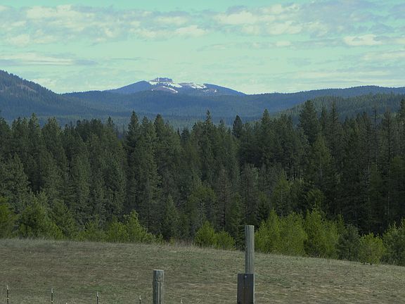 3rd image of 1061 Elk Meadow Ln
