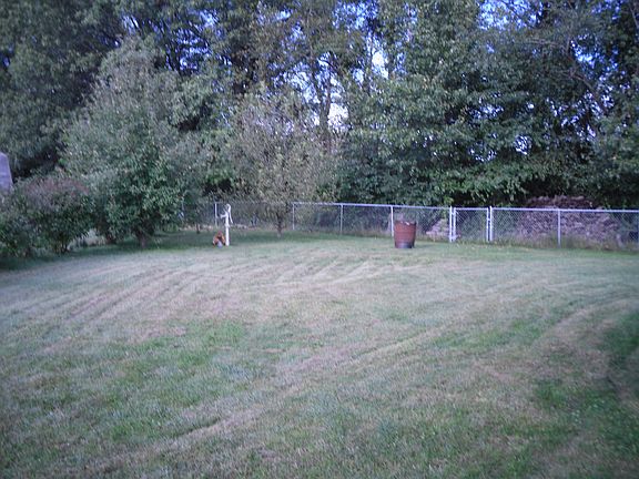 5th image of 117 Foley Dr