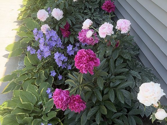 4th image of 38 Vernon Road