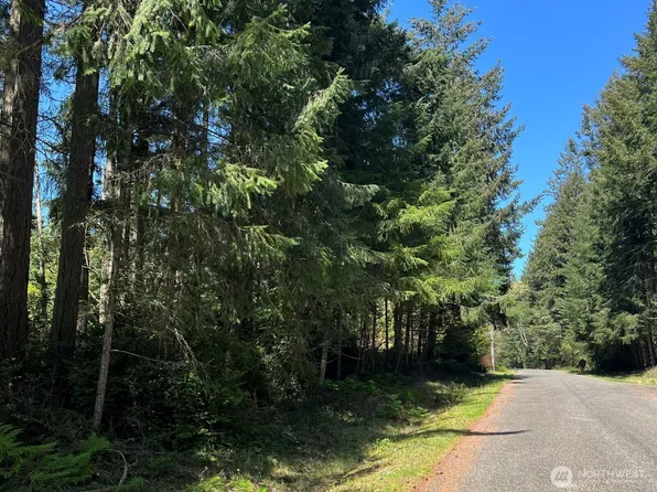 10312 Paine Road, Anderson Island, WA 98303