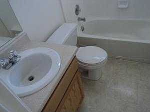 5th image of 313 W Peach Pl