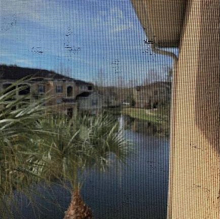 3rd image of 10105 Courtney Oaks Cir APT 304