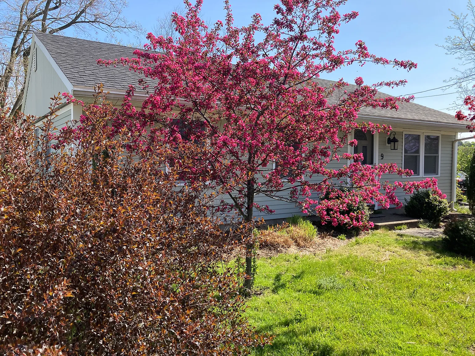 2 bed, 925 sqft, $2,500 — Photo 4