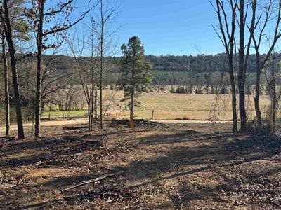 568 Peckerwood Ln, New Blaine, AR, 72851