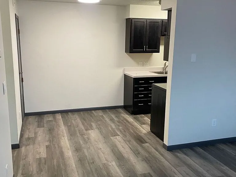 519 E North St — Photo 11