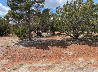 2272 Wright Cir, Overgaard, AZ 85933