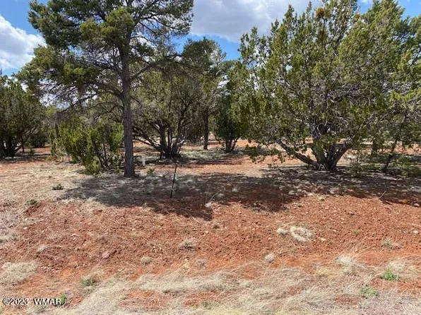 2272 Wright Cir, Overgaard, AZ 85933