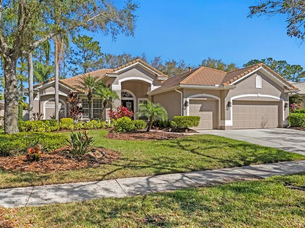 18149 Regents Square Dr, Tampa, FL 33647