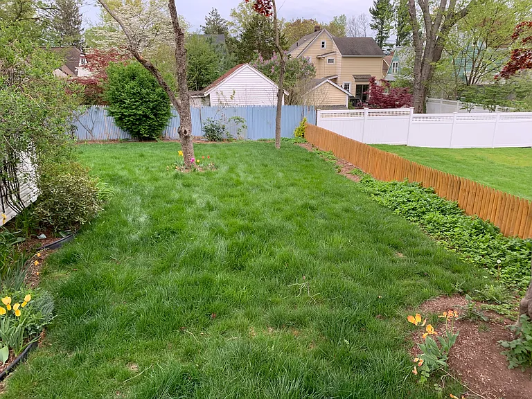 37 Spring Garden St — Photo 5