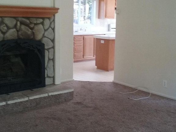 Living room fireplace