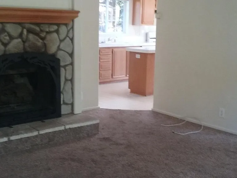 Living room fireplace
