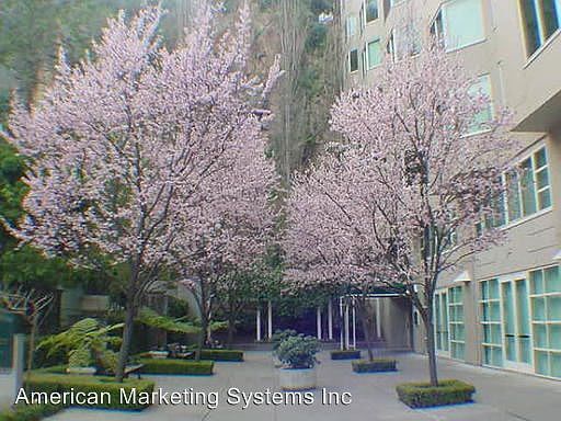 1st image of 240 Lombard St APT 434
