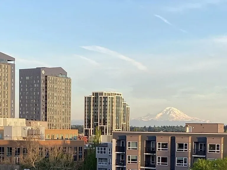 View of Mt. Rainier