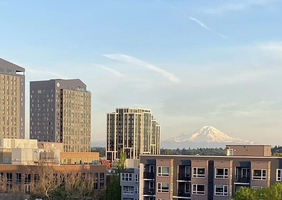 View of Mt. Rainier