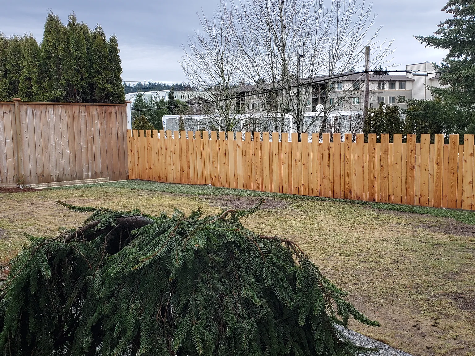 3 bed, 1600 sqft, $2,950 — Photo 3